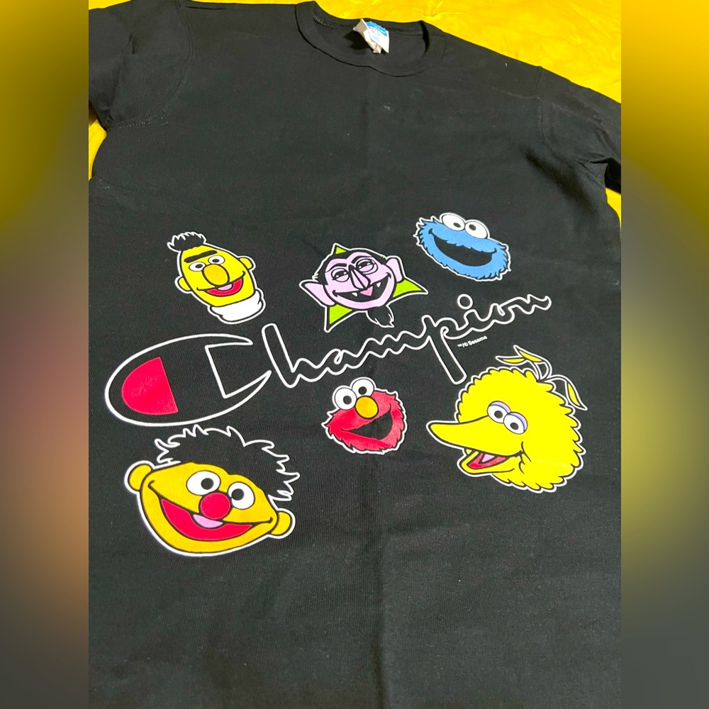 Boys CHAMPION t shirt (small)